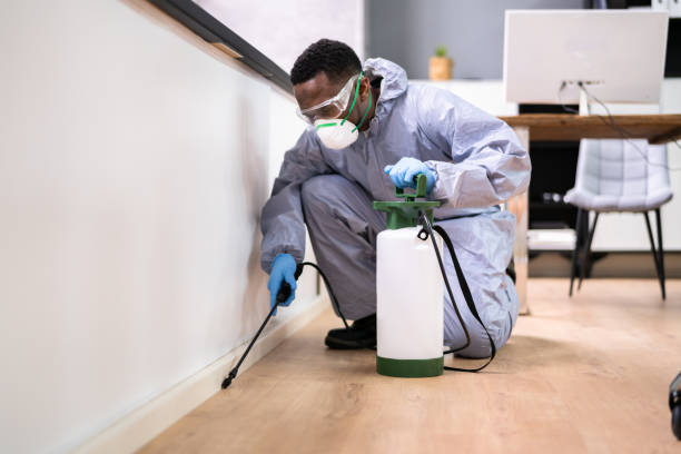 Professional Pest control in Gardendale, TX